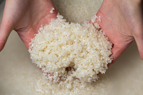 米は研がない、炊かない！？日本の「ご飯」とは違う世界の米料理事情