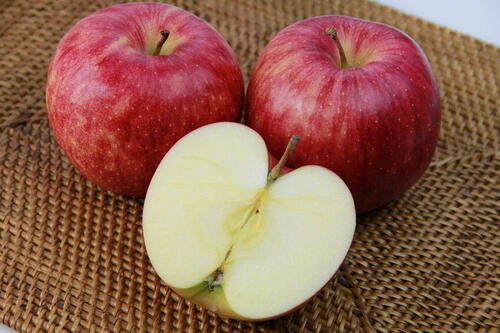 栽培が困難な幻のりんご【北斗】。その美味しさと選び方を紹介