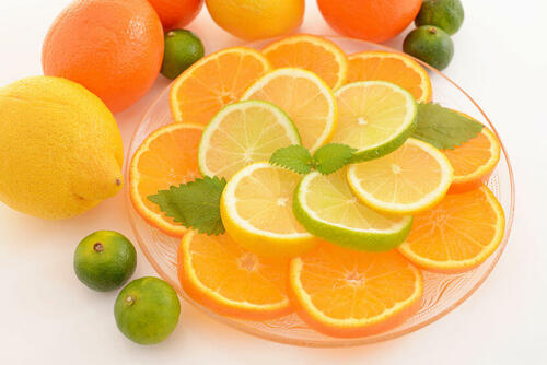 柑橘類とミカン属の関係は？ミカン属に分類される主な果物を確認しよう