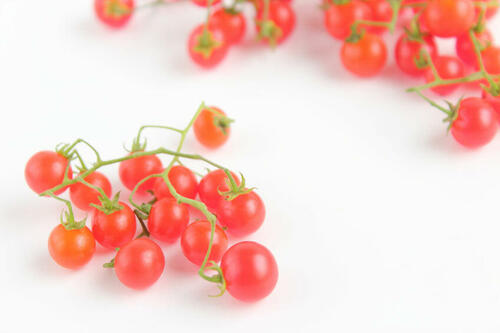 マイクロトマトは世界で最も小さいトマト！育て方や購入方法を紹介