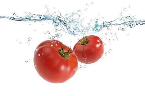 【トマト】大辞典！栄養や活用法、おすすめの食べ方などを徹底解説