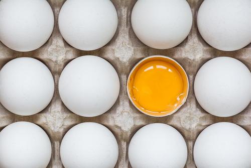 冷蔵庫には卵だけ！そんなときにおすすめの簡単料理8選