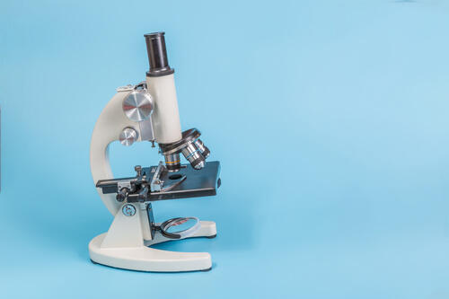 顕微鏡の写真