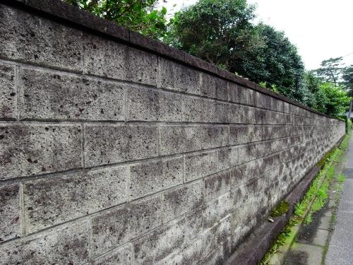 タカラダニがいそうなブロック塀の写真