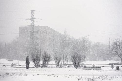極寒のロシアをイメージした雪景色の写真