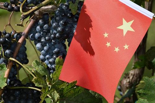 中国産のワインって？世界で注目を集める巨大ワイン産地を徹底解説
