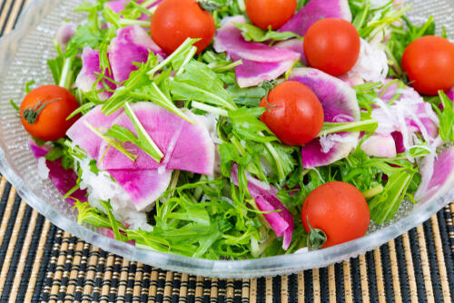 栄養 水菜 サラダに最適、目にも良い！赤い茎が美しい紫水菜