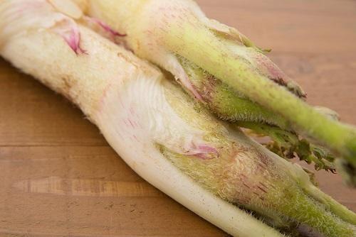 春の味覚 ウド は天ぷらが美味しい 作り方や下処理を解説 食 料理 オリーブオイルをひとまわし