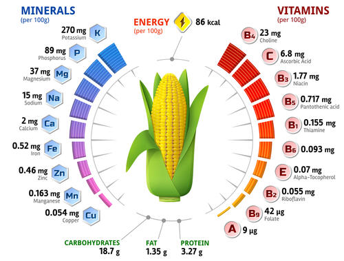 穀物 それとも野菜 ビタミン類も豊富なとうもろこしの栄養と効能 食 料理 オリーブオイルをひとまわし