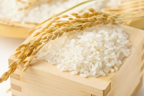 米の糖質