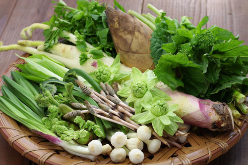 春の山菜 ウコギとは 生垣に使われている理由や美味しい食べ方 食 料理 オリーブオイルをひとまわし