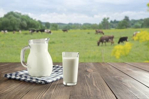 ダークウッドのテーブルの上にグラスに入った新鮮な牛乳と、牧草地に牛がいるぼやけた風景