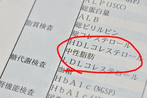 コレステロール　健康診断