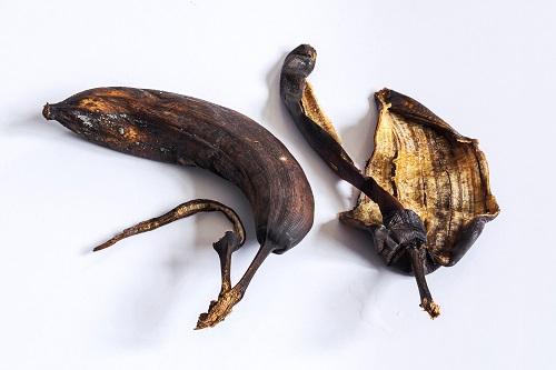 腐った分解されたバナナを乾燥させ、白いテーブルで皮をむく