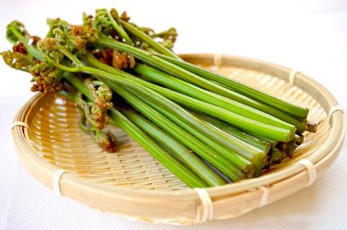 わらびの冷凍保存 解凍方法や冷凍わらびの美味しい食べ方を紹介 食 料理 オリーブオイルをひとまわし わらびの冷凍保存 解凍方法や冷凍わらびの美味しい食べ方を紹介 食 料理 オリーブオイルをひとまわし