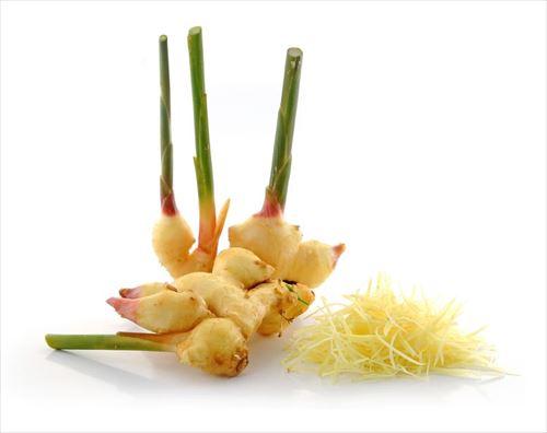 谷中生姜の特徴を紹介 育て方や美味しい食べ方とは 食 料理 オリーブオイルをひとまわし