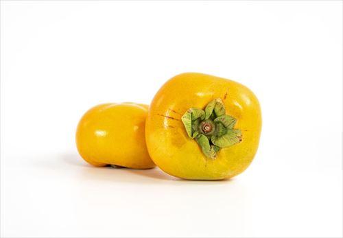 白い背景と柿の画像