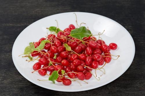 グミの実とは ほぼ流通していない希少な果物の栄養や食べ方を紹介 食 料理 オリーブオイルをひとまわし