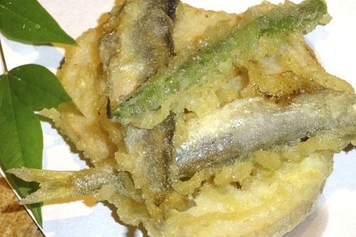サヨリ の美味しい食べ方とは 刺身から干物まで徹底紹介 食 料理 オリーブオイルをひとまわし