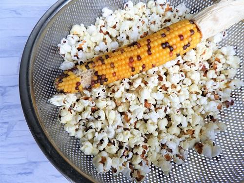 グラスジェムコーンとは Sns映えトウモロコシの美味しい食べ方 食 料理 オリーブオイルをひとまわし