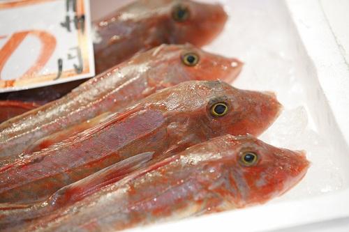 ほうぼうとは 刺身でも煮付けでも美味しい赤色の海水魚を詳しく解説 食 料理 オリーブオイルをひとまわし