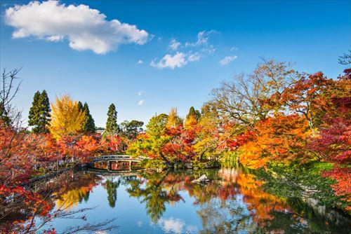 秋の池と橋の永観寺