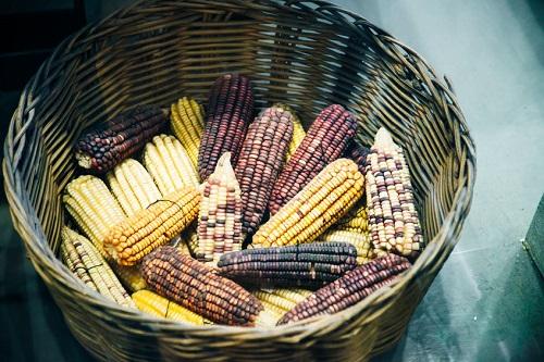 グラスジェムコーンとは Sns映えトウモロコシの美味しい食べ方 食 料理 オリーブオイルをひとまわし