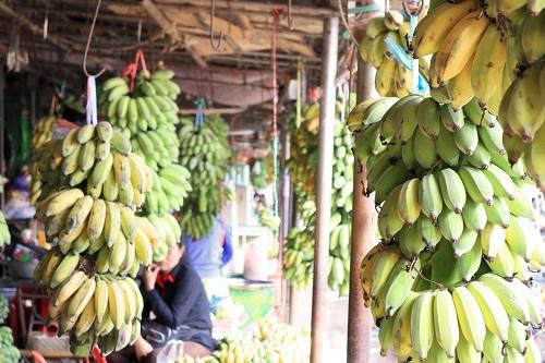 野菜や果物、食料品を販売