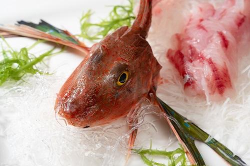 高級魚ほうぼうの刺身は家庭で造れる 捌き方や美味しい食べ方を紹介 食 料理 オリーブオイルをひとまわし