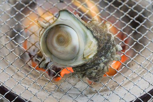 サザエの食べ方