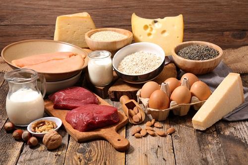 高蛋白質の蛋白質源食品