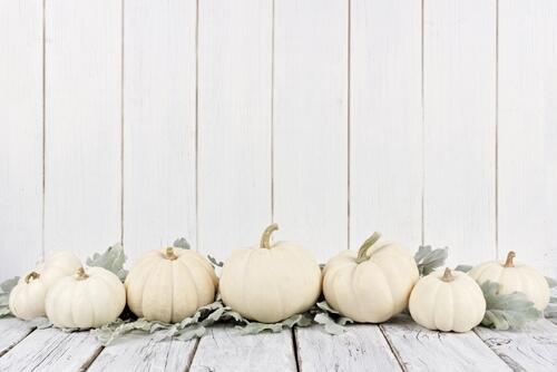 実はほくほく甘い 冬にも食べられる白い色の 白皮栗かぼちゃ とは 食 料理 オリーブオイルをひとまわし