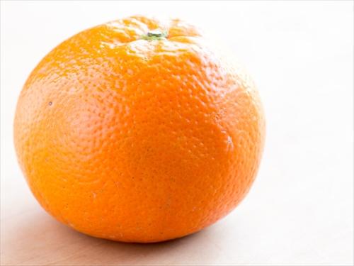 日本の柑橘系の果物