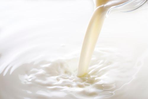 鶏の砂肝の下処理とコツ：牛乳で臭みをとる方法
