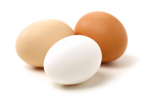 食べられない卵の見分け方と賞味期限