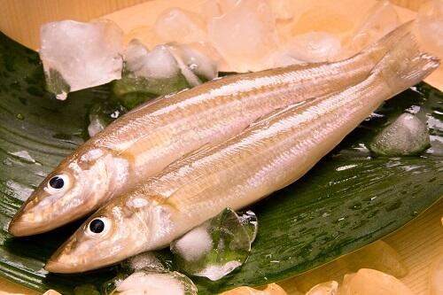 天ぷらの定番魚 キス の旬はいつ 特徴や食べ方も紹介 食 料理 オリーブオイルをひとまわし