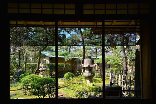 戸定が丘歴史公園の松雲亭茶席