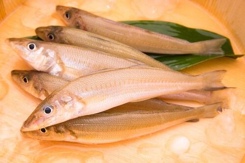 天ぷらの定番魚 キス の旬はいつ 特徴や食べ方も紹介 食 料理 オリーブオイルをひとまわし