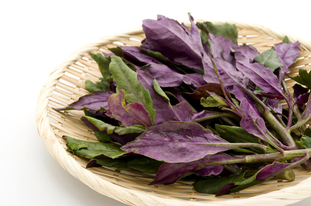 沖縄の伝統食材 ハンダマ とは 不老長寿の薬と呼ばれる野菜に迫る 食 料理 オリーブオイルをひとまわし