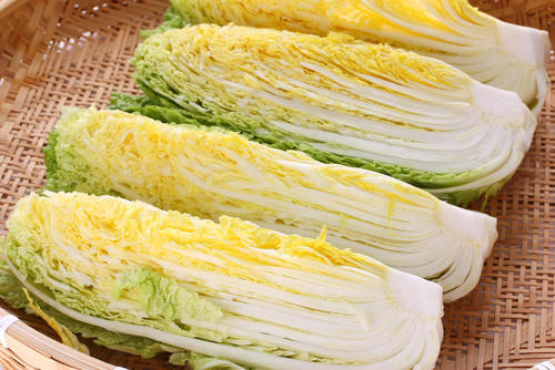 【管理栄養士監修】白菜の栄養素！ビタミンが豊富な鍋の常連野菜！