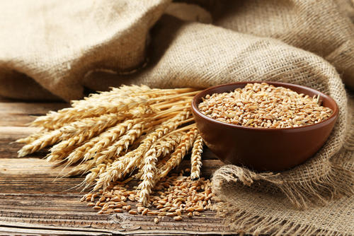 小麦の栄養と効能。食卓に欠かせない貴重なエネルギー源！