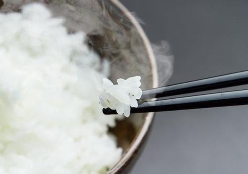 炊き立ての白米は炊飯器が勝負！種類別に異なる性能と炊き方の違い