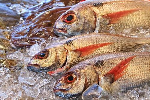 初心者でも出来る！魚の簡単なおろし方