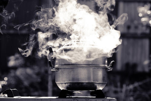 調理法の一つ「蒸す」とは？蒸し器がなくてもできるテクニックも！