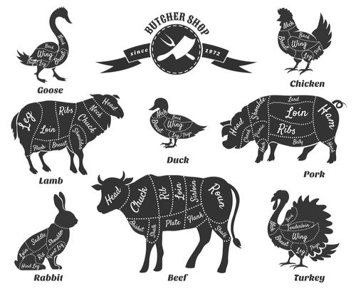 肉の部位と特徴を紹介！あなたはいくつ知っている？