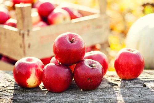 【りんご】のカロリーと糖質量。果実・ジュース・スイーツで確認