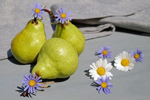 幻の洋梨とも呼ばれる高級品種「ルレクチェ」特徴とは？