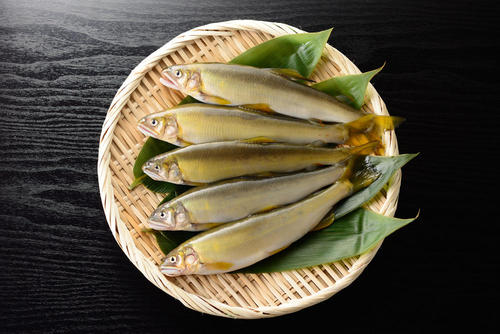 「香魚」｢年魚｣といわれる鮎。その気品ある味は｢若鮎｣が最高！？