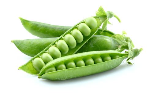 「えんどう豆」と「グリーンピース」同じ植物って、知っている？