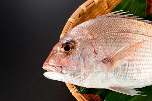【鯛（たい）】の美味しい調理法。伝統の祝い魚を味わい尽くそう！
